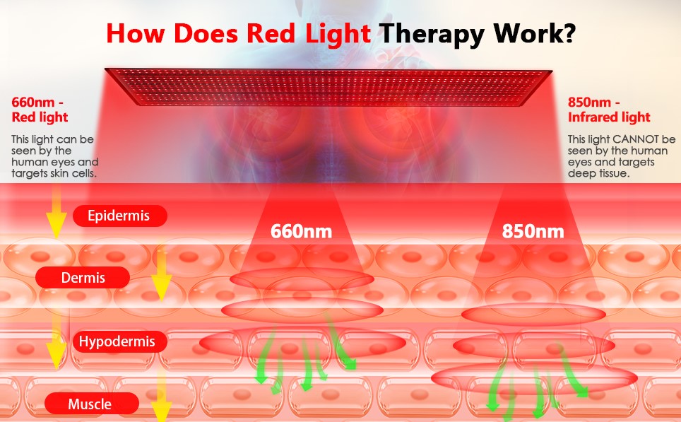 Red Light Therapy Session - 20 Minutes