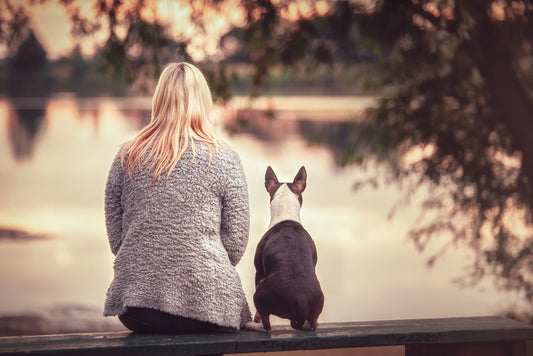Woman sitting beside her pet, sharing a quiet moment of grief and remembrance.